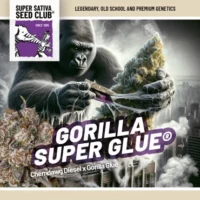 gorilla super glue