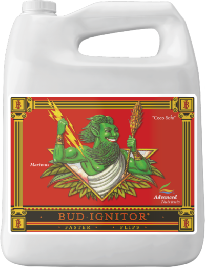 bud ignitor 5 litros